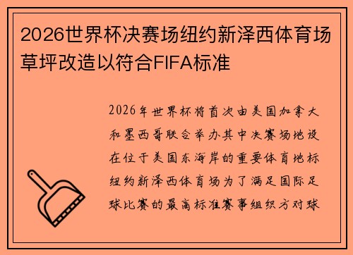 2026世界杯决赛场纽约新泽西体育场草坪改造以符合FIFA标准